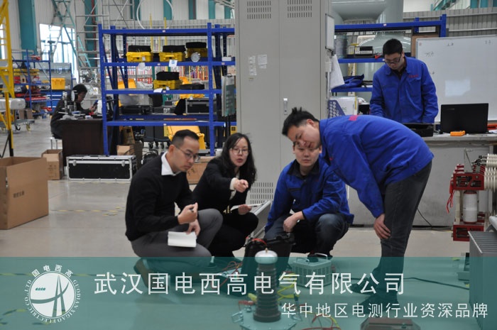 國(guó)電西高迎來菲律賓客戶來訪驗(yàn)貨