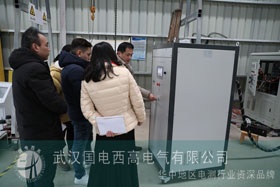 新年開(kāi)門(mén)紅國(guó)電西高喜迎哥倫比亞客戶