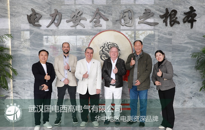 以實力為基，以誠意為橋：國電西高喜迎國際核心客戶深度探訪